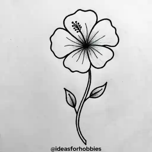 Hibiscus Flower Drawing With Pencil