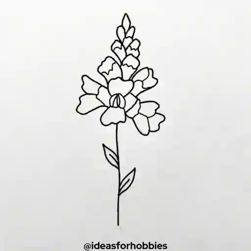 Snapdragon Flower Drawing With Pencil