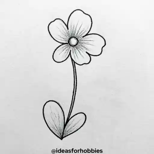 Violet Flower Drawing With Pencil